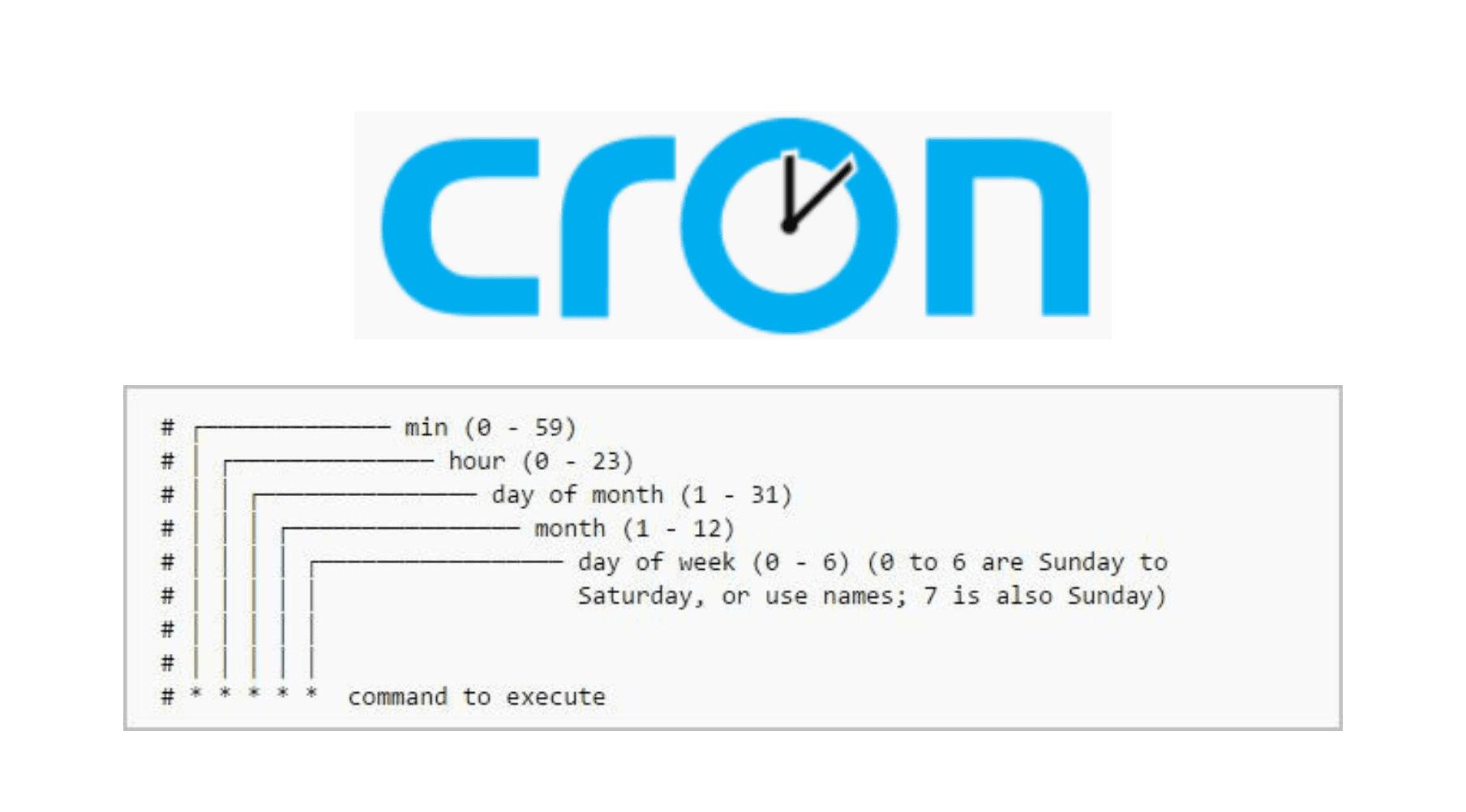 Cron Jobs or Scheduler Begineer Guide.